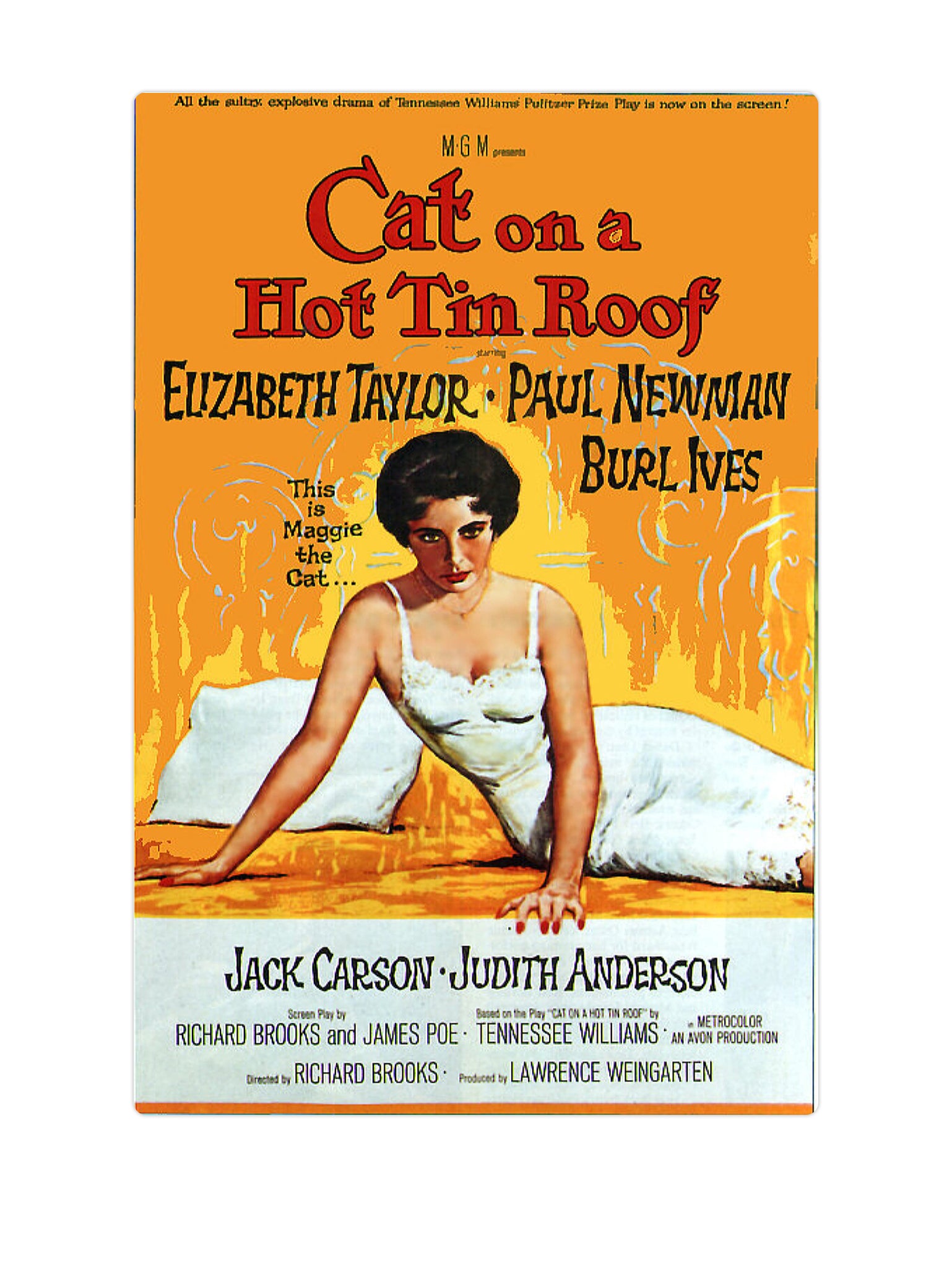 Cat on a Hot Tin Roof